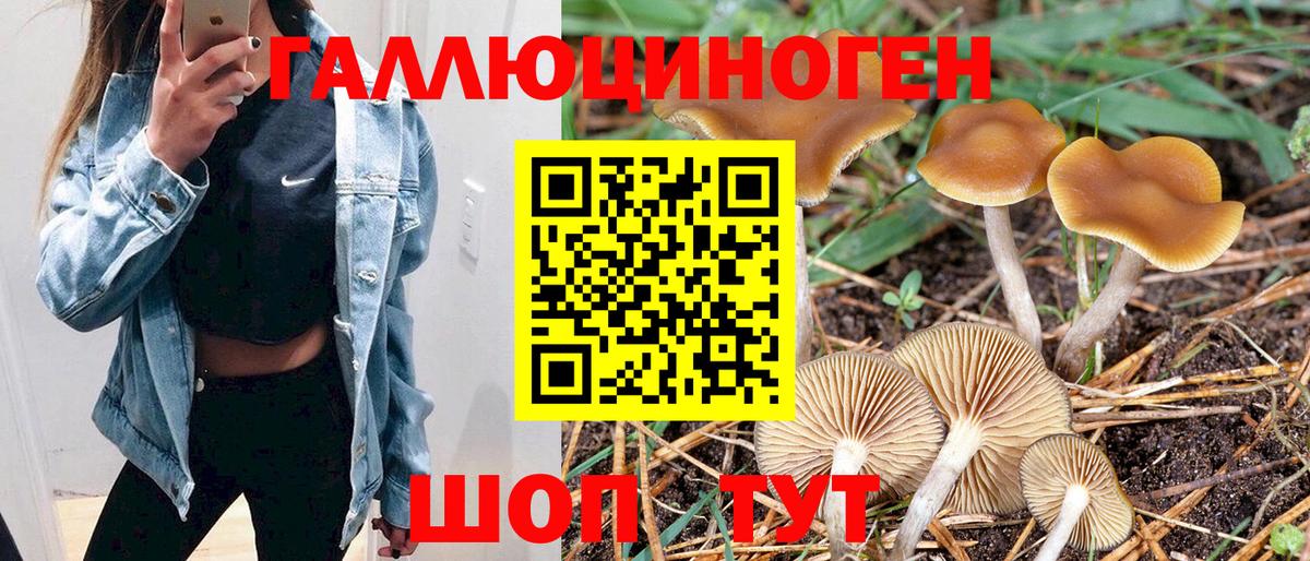 Галлюциногенные грибы Psilocybe  Галлюциногенные грибы Psilocybe  Вход с VPN  Новоалтайск 